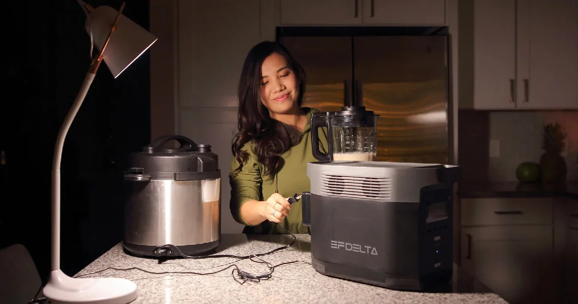 Портативная зарядная станция EcoFlow DELTA 1300 (1260 Втч) — материал 8